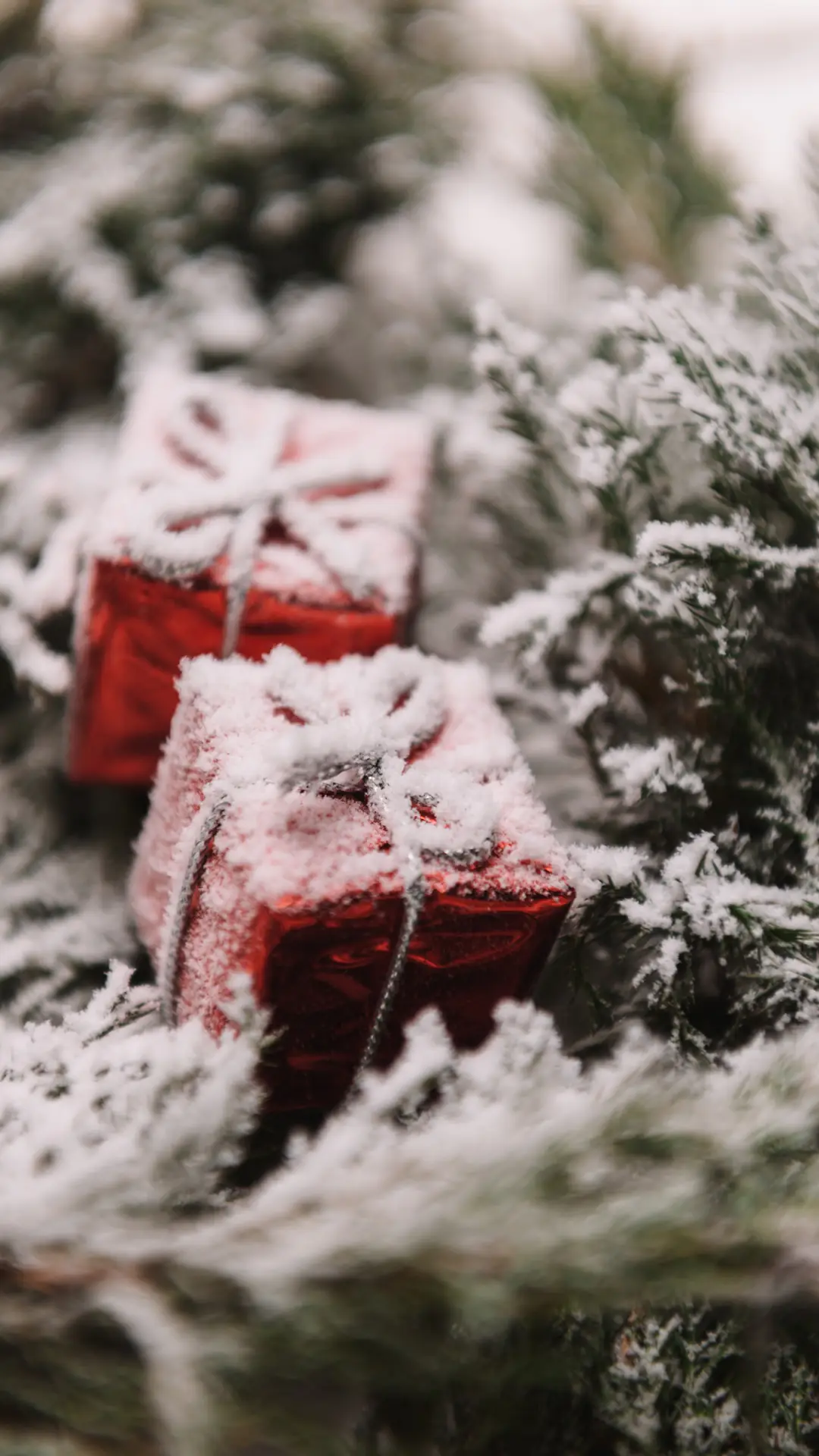 冬日风光-拍信图库