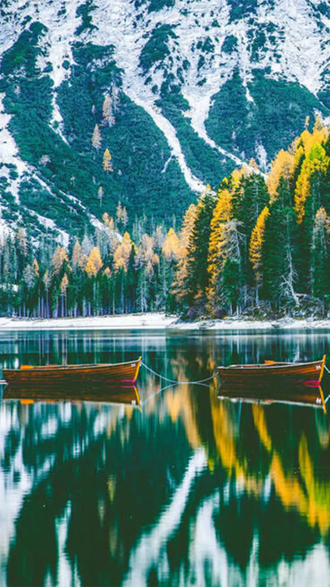 拥抱自然-拍信图库