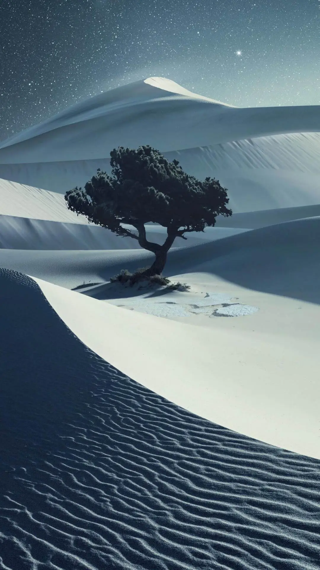 哈苏大师摄影奖赏析