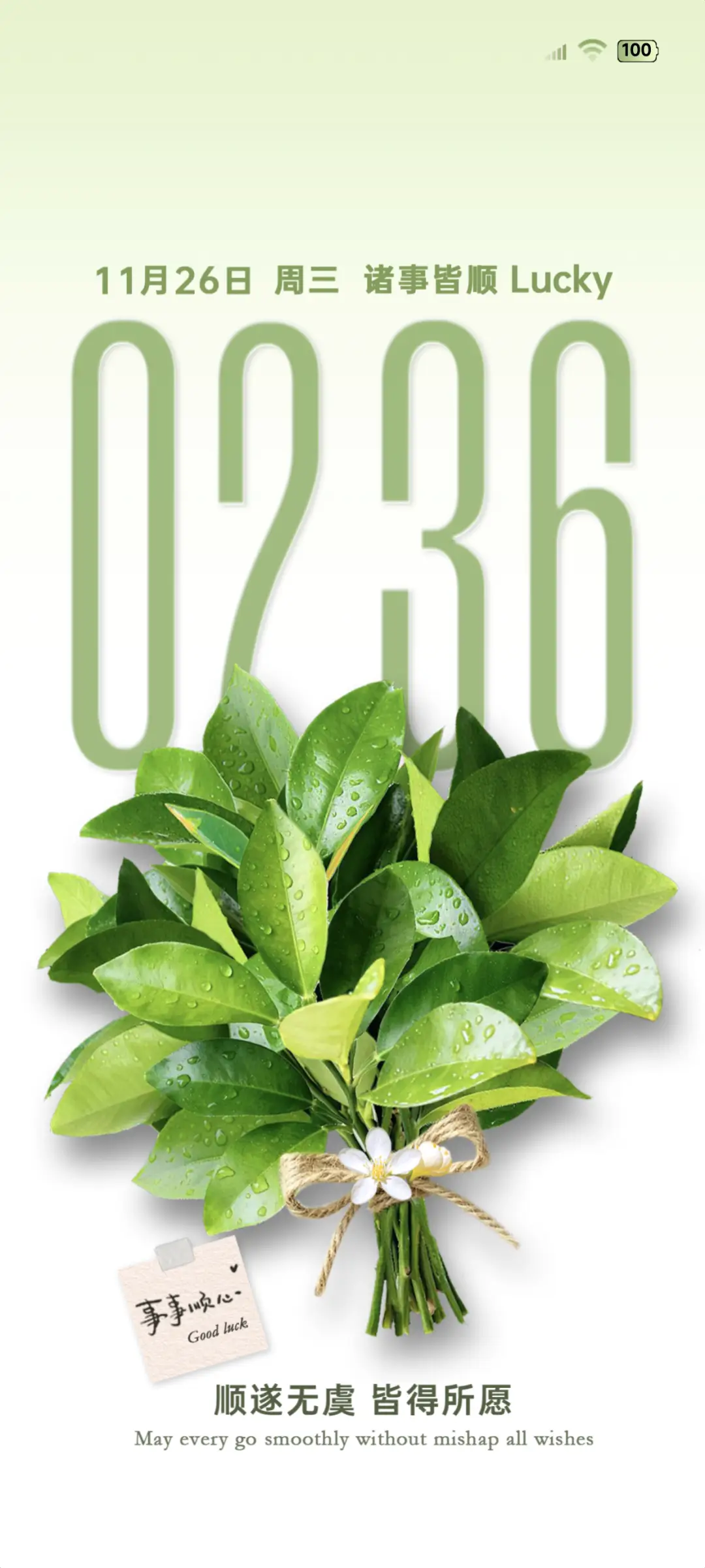 大图标柚子叶护体