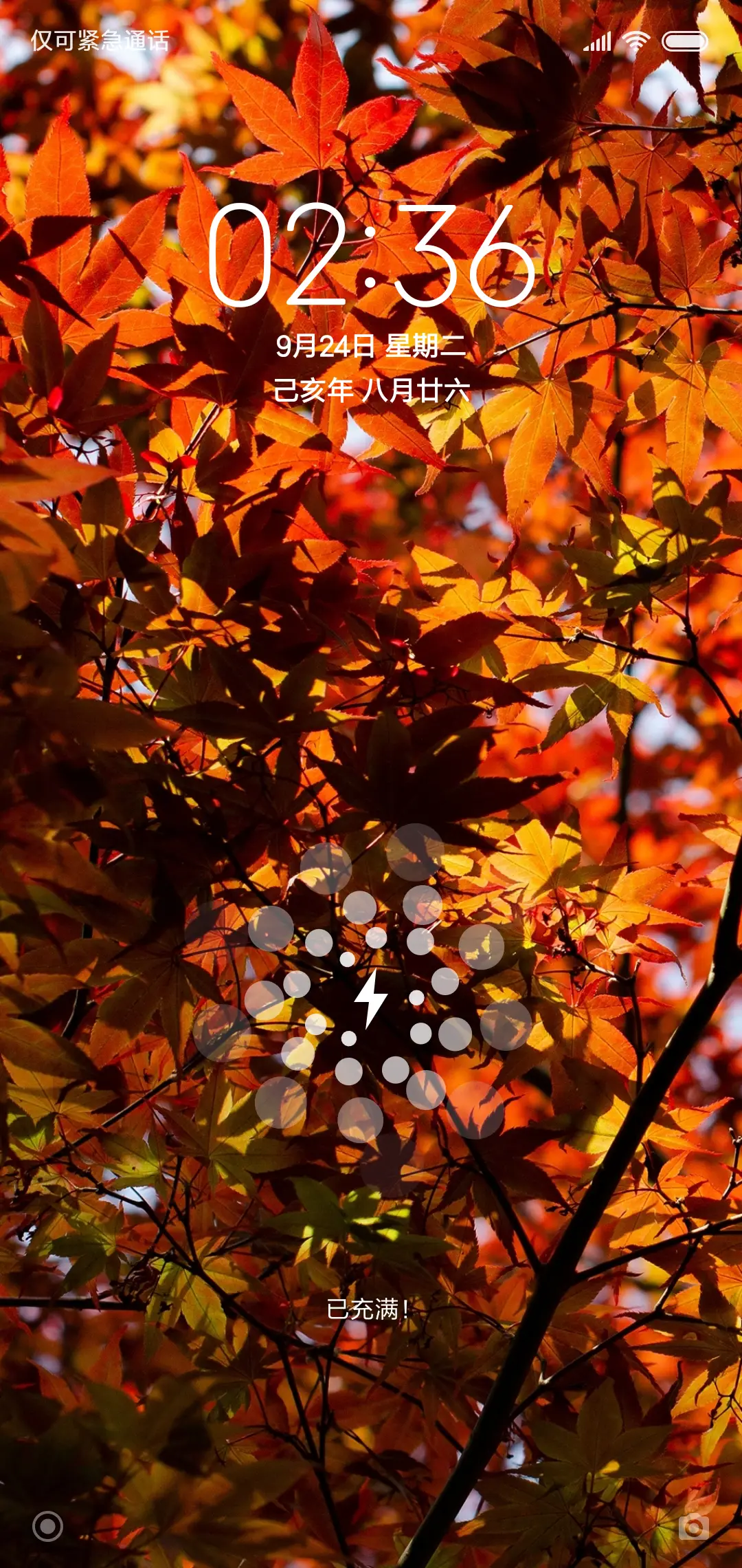 一叶知秋 - Screenshot 1