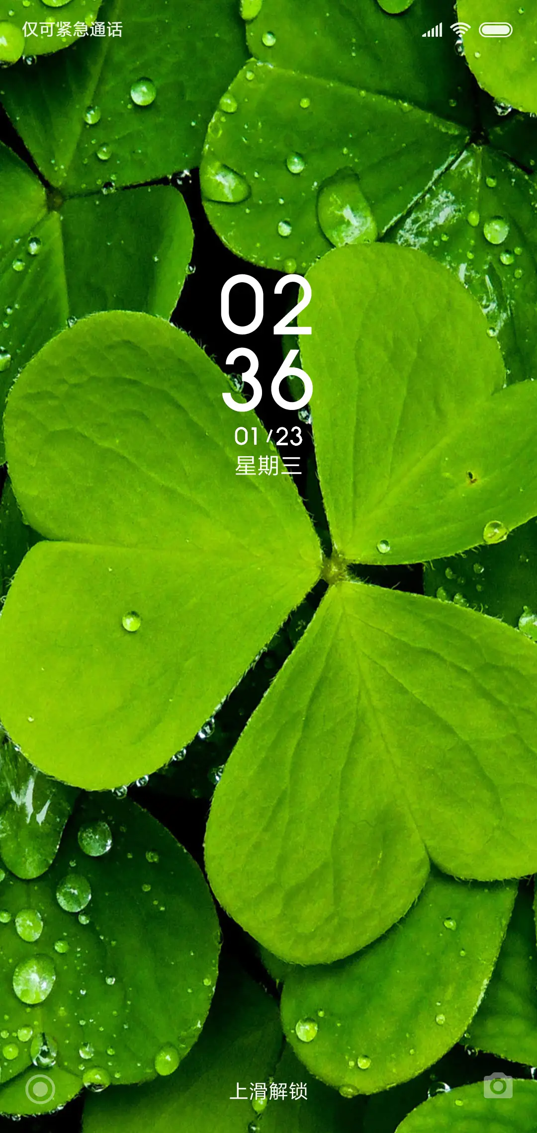 绿